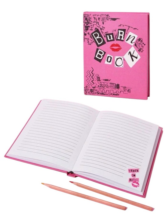 Other - •Mean Girls• Pink 96 Page Burn Book Journal Notebook | Pop Culture Diary Gift